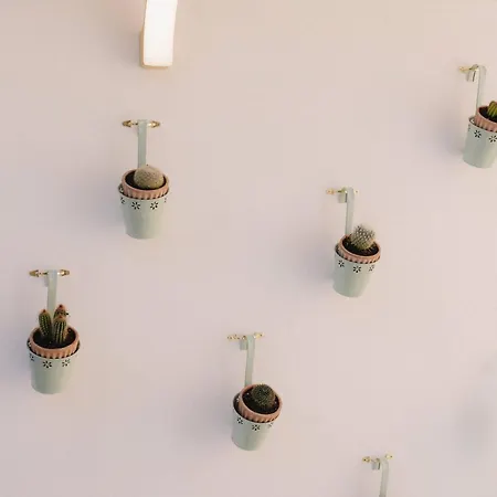 Daire Baelia Casa Sabina *